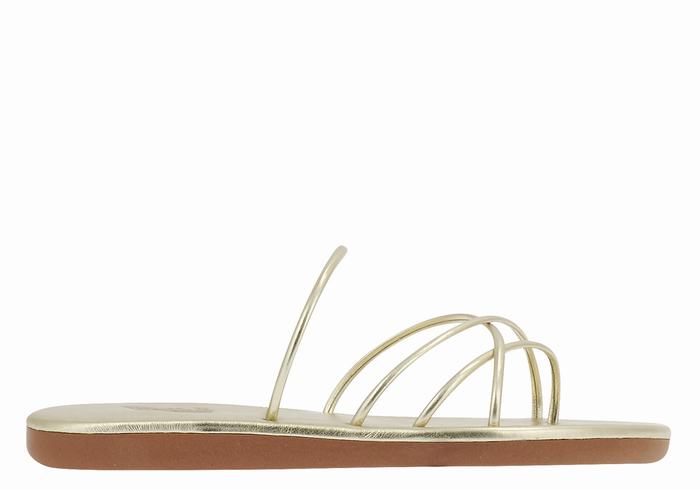 Sandales à Glissière Ancient Greek Sandals Pu   | ZUK-6343381